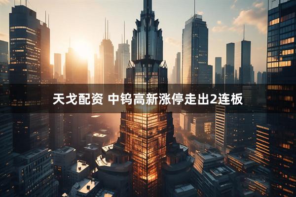天戈配资 中钨高新涨停走出2连板