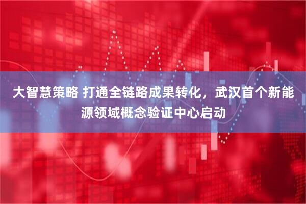 大智慧策略 打通全链路成果转化，武汉首个新能源领域概念验证中心启动