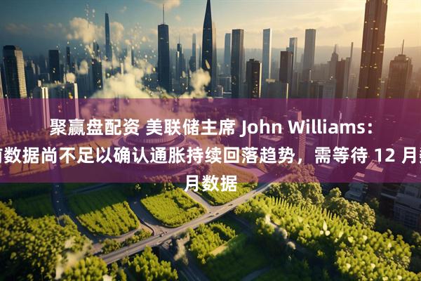 聚赢盘配资 美联储主席 John Williams:当前数据尚不足以确认通胀持续回落趋势,需等待 12 月数据